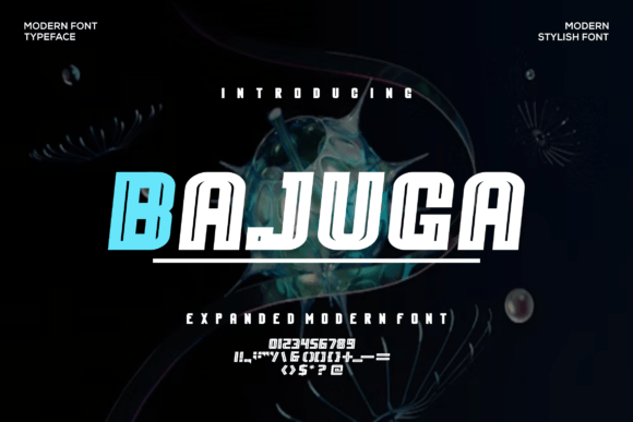 Bajuga: A Bold Sans Serif Font
