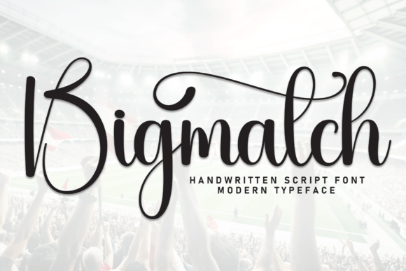 Bigmatch Font for Web Design