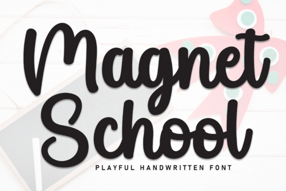 Magnet School Review